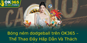 Bong Nem Dodgeball Tren Ok365 The Thao Ay Hap Dan Va Thach Thuc Ang Cap Quoc Te