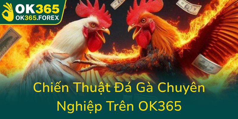 Chien Thuat Da Ga Chuyen Nghiep Tren Ok3650
