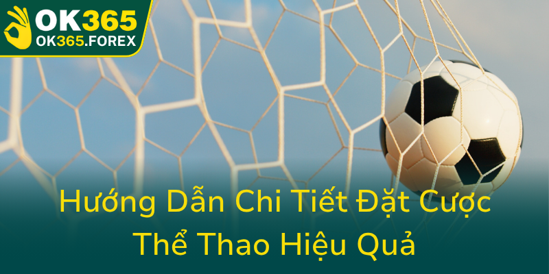 Huong Dan Chi Tiet Dat Cuoc The Thao Hieu Qua0