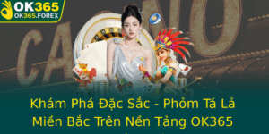Kham Pha Ac Sac Phom Ta La Mien Bac Tren Nen Tang Ok365 Nang Tam Giai Tri