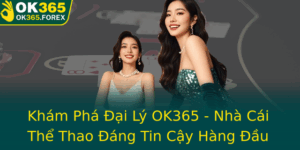 Kham Pha Ai Ly Ok365 Nha Cai The Thao Ang Tin Cay Hang Au 2025