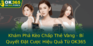 Kham Pha Keo Chap The Vang Bi Quyet At Cuoc Hieu Qua Tu Ok365