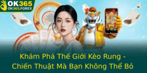 Kham Pha The Gioi Keo Rung Chien Thuat Ma Ban Khong The Bo Qua Cung Ok365