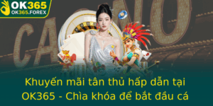 Khuyen Mai Tan Thu Hap Dan Tai Ok365 Chia Khoa E Bat Au Ca Cuoc Thanh Cong