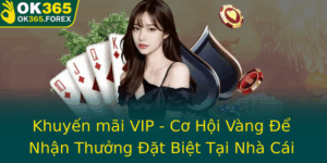 Khuyen Mai Vip Co Hoi Vang E Nhan Thuong At Biet Tai Nha Cai Ok365