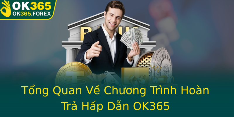 Tổng Quan Về Chương Trình Hoàn Trả Hấp Dẫn OK365