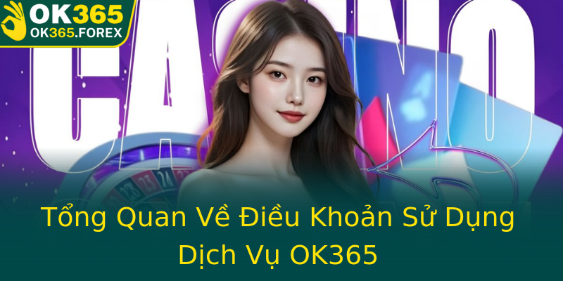 Tổng Quan Về Điều Khoản Sử Dụng Dịch Vụ OK365