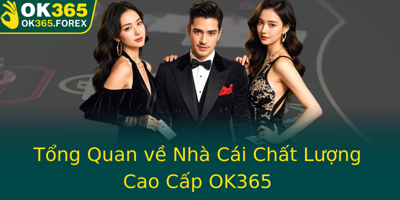 Tổng Quan về Nhà Cái Chất Lượng Cao Cấp OK365