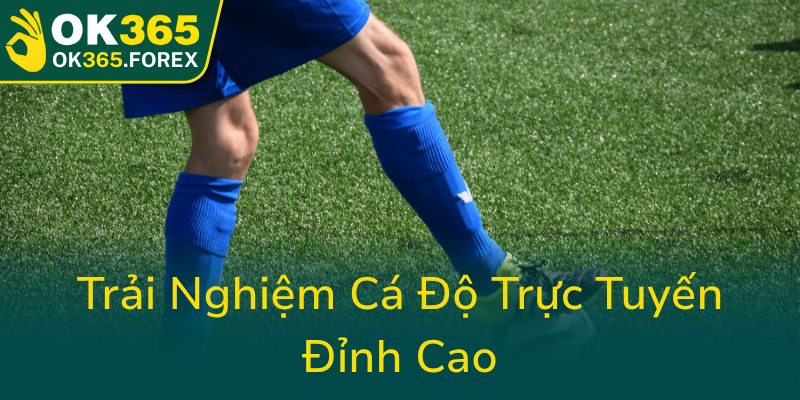 Trai Nghiem Ca Do Truc Tuyen Dinh Cao0